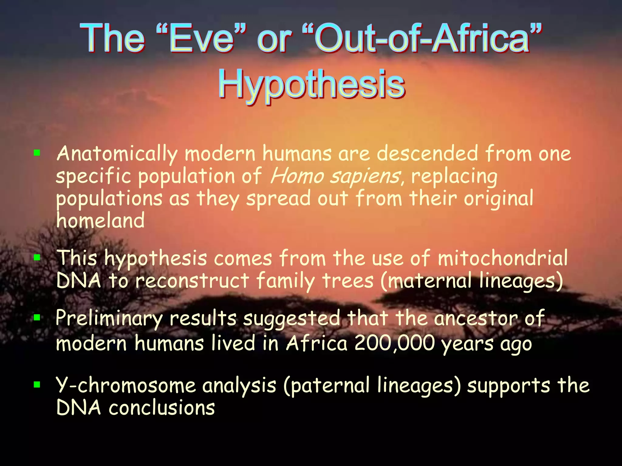 Hominid Evolution | PPTX