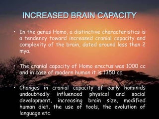 • In the genus Homo, a distinctive characteristics is
a tendency toward increased cranial capacity and
complexity of the brain, dated around less than 2
mya.

• The cranial capacity of Homo erectus was 1000 cc
and in case of modern human it is 1350 cc.
• Changes in cranial capacity of early hominids
undoubtedly influenced physical and social
development, increasing brain size, modified
human diet, the use of tools, the evolution of
language etc.

 