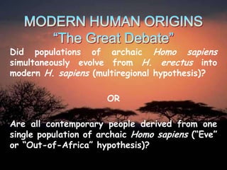 Did populations of archaic Homo sapiens
simultaneously evolve from H. erectus into
modern H. sapiens (multiregional hypothesis)?

OR
Are all contemporary people derived from one
single population of archaic Homo sapiens (“Eve”
or “Out-of-Africa” hypothesis)?

 