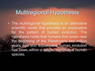 • The multiregional hypothesis is an alternative
scientific model that provides an explanation
for the pattern of human evolution. The
hypothesis holds that humans first arose near
the beginning of the Pleistocene two million
years ago and subsequent human evolution
has been within a single, continuous human
species.

 