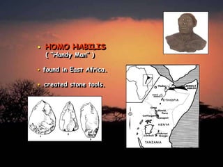 

HOMO HABILIS



found in East Africa.



created stone tools.

( “Handy Man” )

 