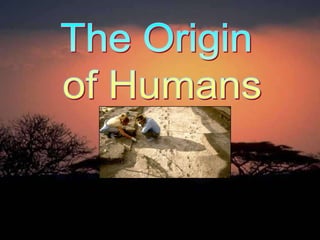 The Origin  of Humans 