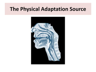 The Physical Adaptation Source
 
