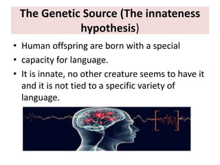 The Genetic Source (The innateness
hypothesis)
• Human offspring are born with a special
• capacity for language.
• It is innate, no other creature seems to have it
and it is not tied to a specific variety of
language.
 