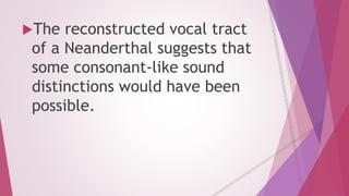 The reconstructed vocal tract 
of a Neanderthal suggests that 
some consonant-like sound 
distinctions would have been 
possible. 
 