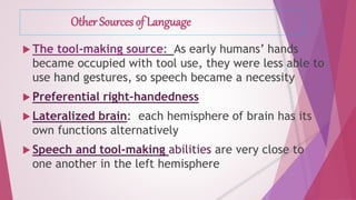 Other Sources of Language 
The tool-making source: As early humans’ hands 
became occupied with tool use, they were less able to 
use hand gestures, so speech became a necessity 
 Preferential right-handedness 
 Lateralized brain: each hemisphere of brain has its 
own functions alternatively 
 Speech and tool-making abilities are very close to 
one another in the left hemisphere 
 