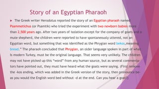 Story of an Egyptian Pharaoh 
 The Greek writer Herodotus reported the story of an Egyptian pharaoh named 
Psammetichus (or Psamtik) who tried the experiment with two newborn babies more 
than 2,500 years ago. After two years of isolation except for the company of goats and a 
mute shepherd, the children were reported to have spontaneously uttered, not an 
Egyptian word, but something that was identified as the Phrygian word bekos,meaning 
bread.” The pharaoh concluded that Phrygian, an older language spoken in part of what 
Is modern Turkey, must be the original language. That seems very unlikely. The children 
may not have picked up this “word” from any human source, but as several commenta-tors 
have pointed out, they must have heard what the goats were saying. (First remove 
the -kos ending, which was added in the Greek version of the story, then pronounce be-as 
you would the English word bed without -d at the end. Can you hear a goat?) 
 