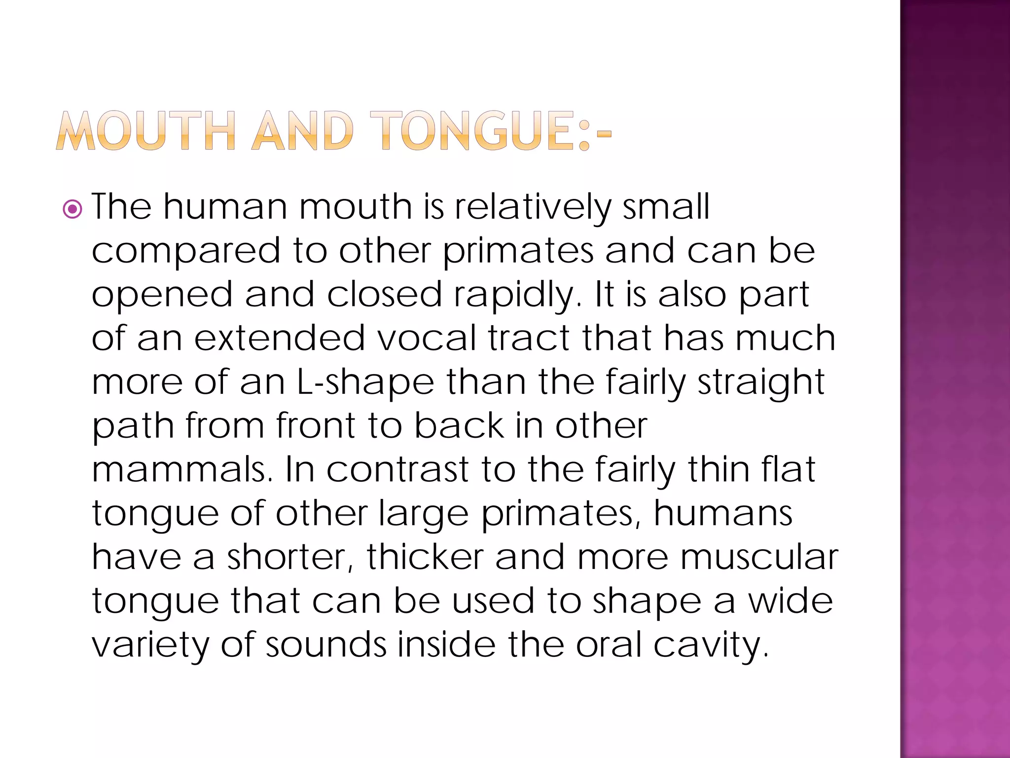  The human mouth is relatively small
compared to other primates and can be
opened and closed rapidly. It is also part
of an extended vocal tract that has much
more of an L-shape than the fairly straight
path from front to back in other
mammals. In contrast to the fairly thin flat
tongue of other large primates, humans
have a shorter, thicker and more muscular
tongue that can be used to shape a wide
variety of sounds inside the oral cavity.
 