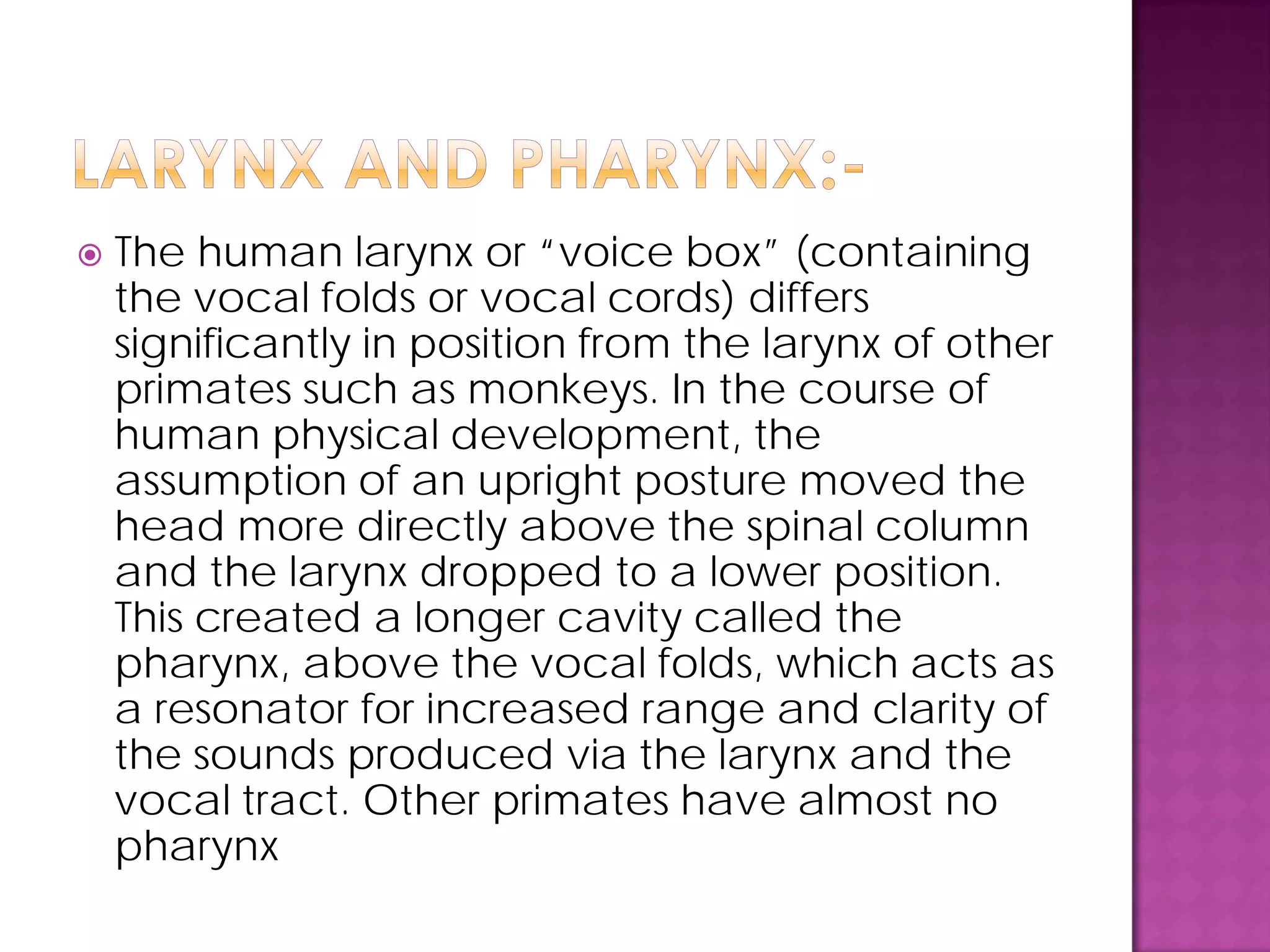  The human larynx or “voice box” (containing
the vocal folds or vocal cords) differs
significantly in position from the larynx of other
primates such as monkeys. In the course of
human physical development, the
assumption of an upright posture moved the
head more directly above the spinal column
and the larynx dropped to a lower position.
This created a longer cavity called the
pharynx, above the vocal folds, which acts as
a resonator for increased range and clarity of
the sounds produced via the larynx and the
vocal tract. Other primates have almost no
pharynx
 