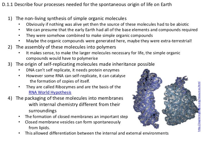 What is the origin of life biology