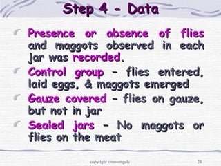 28
Step 4 - DataStep 4 - Data
Presence or absence of fliesPresence or absence of flies
and maggots observed in eachand maggots observed in each
jar wasjar was recordedrecorded..
Control groupControl group – flies entered,– flies entered,
laid eggs, & maggots emergedlaid eggs, & maggots emerged
Gauze coveredGauze covered – flies on gauze,– flies on gauze,
but not in jarbut not in jar
Sealed jarsSealed jars – No maggots or– No maggots or
flies on the meatflies on the meat
copyright cmassengale
 