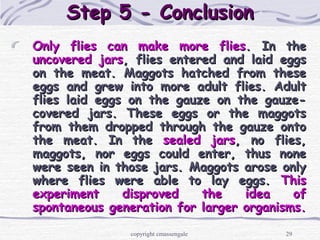 29
Step 5 - ConclusionStep 5 - Conclusion
Only flies can make more fliesOnly flies can make more flies. In the. In the
uncovered jarsuncovered jars, flies entered and laid eggs, flies entered and laid eggs
on the meat. Maggots hatched from theseon the meat. Maggots hatched from these
eggs and grew into more adult flies. Adulteggs and grew into more adult flies. Adult
flies laid eggs on the gauze on the gauze-flies laid eggs on the gauze on the gauze-
covered jars. These eggs or the maggotscovered jars. These eggs or the maggots
from them dropped through the gauze ontofrom them dropped through the gauze onto
the meat. In thethe meat. In the sealed jarssealed jars, no flies,, no flies,
maggots, nor eggs could enter, thus nonemaggots, nor eggs could enter, thus none
were seen in those jars. Maggots arose onlywere seen in those jars. Maggots arose only
where flies were able to lay eggs.where flies were able to lay eggs. ThisThis
experiment disproved the idea ofexperiment disproved the idea of
spontaneous generation for larger organisms.spontaneous generation for larger organisms.
copyright cmassengale
 