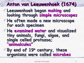31
Anton van Leeuwenhoek (1674)Anton van Leeuwenhoek (1674)
Leeuwenhoek beganLeeuwenhoek began makingmaking andand
looking throughlooking through simple microscopessimple microscopes
He often made a new microscopeHe often made a new microscope
for each specimenfor each specimen
HeHe examined waterexamined water and visualizedand visualized
tiny animals, fungi, algae, andtiny animals, fungi, algae, and
single celled protozoa;single celled protozoa;
“animalcules”“animalcules”
By end of 19By end of 19thth
century, thesecentury, these
organisms were calledorganisms were called microbesmicrobes
copyright cmassengale
 