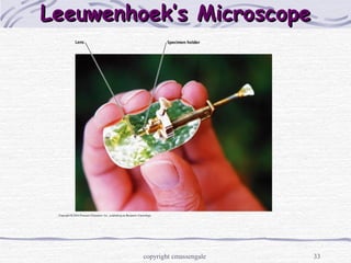 33
Leeuwenhoek’s MicroscopeLeeuwenhoek’s Microscope
copyright cmassengale
 