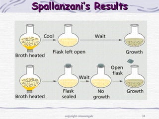 38
Spallanzani’s ResultsSpallanzani’s Results
copyright cmassengale
 