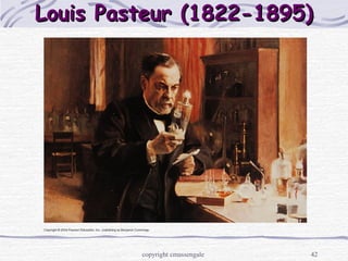 42
Louis Pasteur (1822-1895)Louis Pasteur (1822-1895)
copyright cmassengale
 