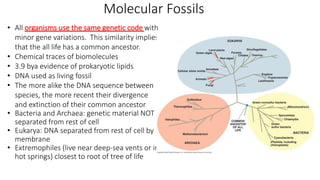 origin of life.pptx