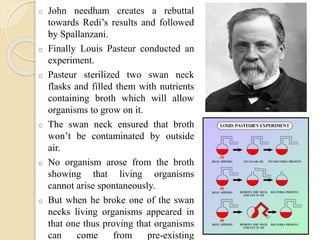 o John needham creates a rebuttal
towards Redi’s results and followed
by Spallanzani.
o Finally Louis Pasteur conducted an
experiment.
o Pasteur sterilized two swan neck
flasks and filled them with nutrients
containing broth which will allow
organisms to grow on it.
o The swan neck ensured that broth
won’t be contaminated by outside
air.
o No organism arose from the broth
showing that living organisms
cannot arise spontaneously.
o But when he broke one of the swan
necks living organisms appeared in
that one thus proving that organisms
can come from pre-existing
 