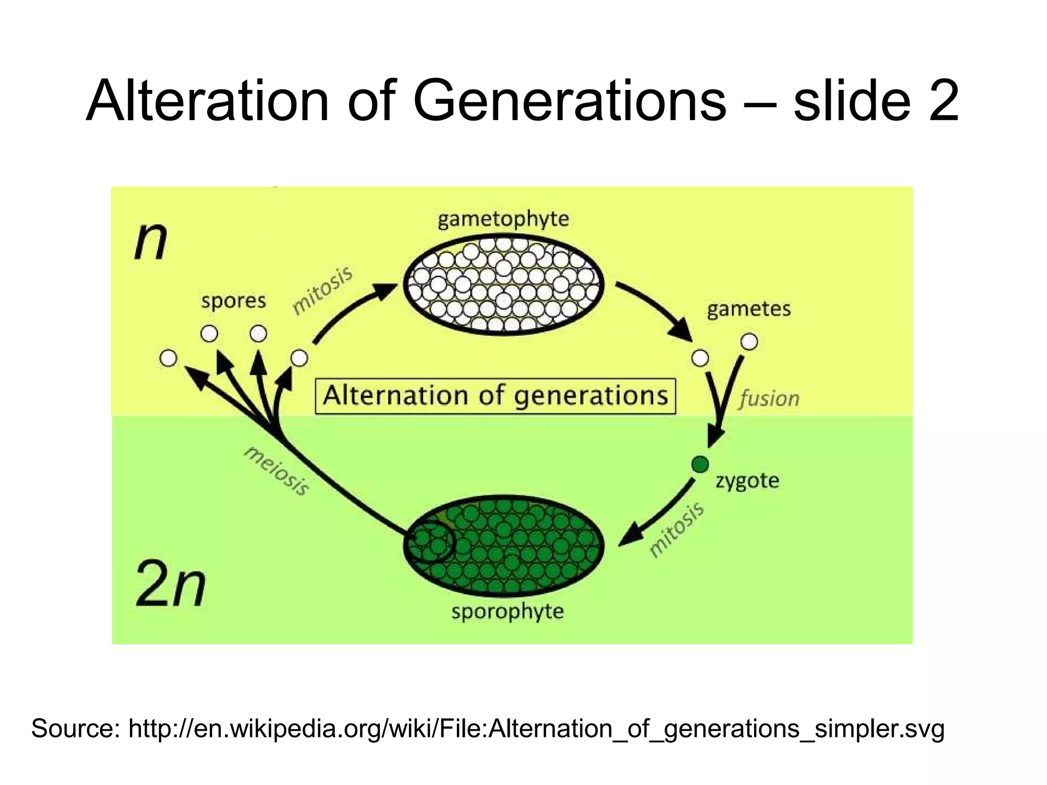 Origin_of_Life_Biogenesis_and_Abiogenesi.pdf