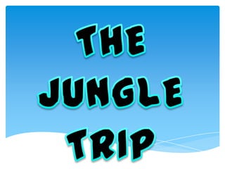 THEJUNGLETRIP 