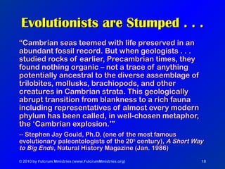 © 2010 by Fulcrum Ministries (www.FulcrumMinistries.org) 18
Evolutionists are Stumped . . .Evolutionists are Stumped . . .
““Cambrian seas teemed with life preserved in anCambrian seas teemed with life preserved in an
abundant fossil record. But when geologists . . .abundant fossil record. But when geologists . . .
studied rocks of earlier, Precambrian times, theystudied rocks of earlier, Precambrian times, they
found nothing organic – not a trace of anythingfound nothing organic – not a trace of anything
potentially ancestral to the diverse assemblage ofpotentially ancestral to the diverse assemblage of
trilobites, mollusks, brachiopods, and othertrilobites, mollusks, brachiopods, and other
creatures in Cambrian strata. This geologicallycreatures in Cambrian strata. This geologically
abrupt transition from blankness to a rich faunaabrupt transition from blankness to a rich fauna
including representatives of almost every modernincluding representatives of almost every modern
phylum has been called, in well-chosen metaphor,phylum has been called, in well-chosen metaphor,
the ‘Cambrian explosion.’”the ‘Cambrian explosion.’”
-- Stephen Jay Gould, Ph.D. (one of the most famous-- Stephen Jay Gould, Ph.D. (one of the most famous
evolutionary paleontologists of the 20evolutionary paleontologists of the 20thth
century),century), A Short WayA Short Way
to Big Endsto Big Ends, Natural History Magazine (Jan. 1986), Natural History Magazine (Jan. 1986)
 