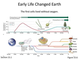 Origins of Life | PPTX