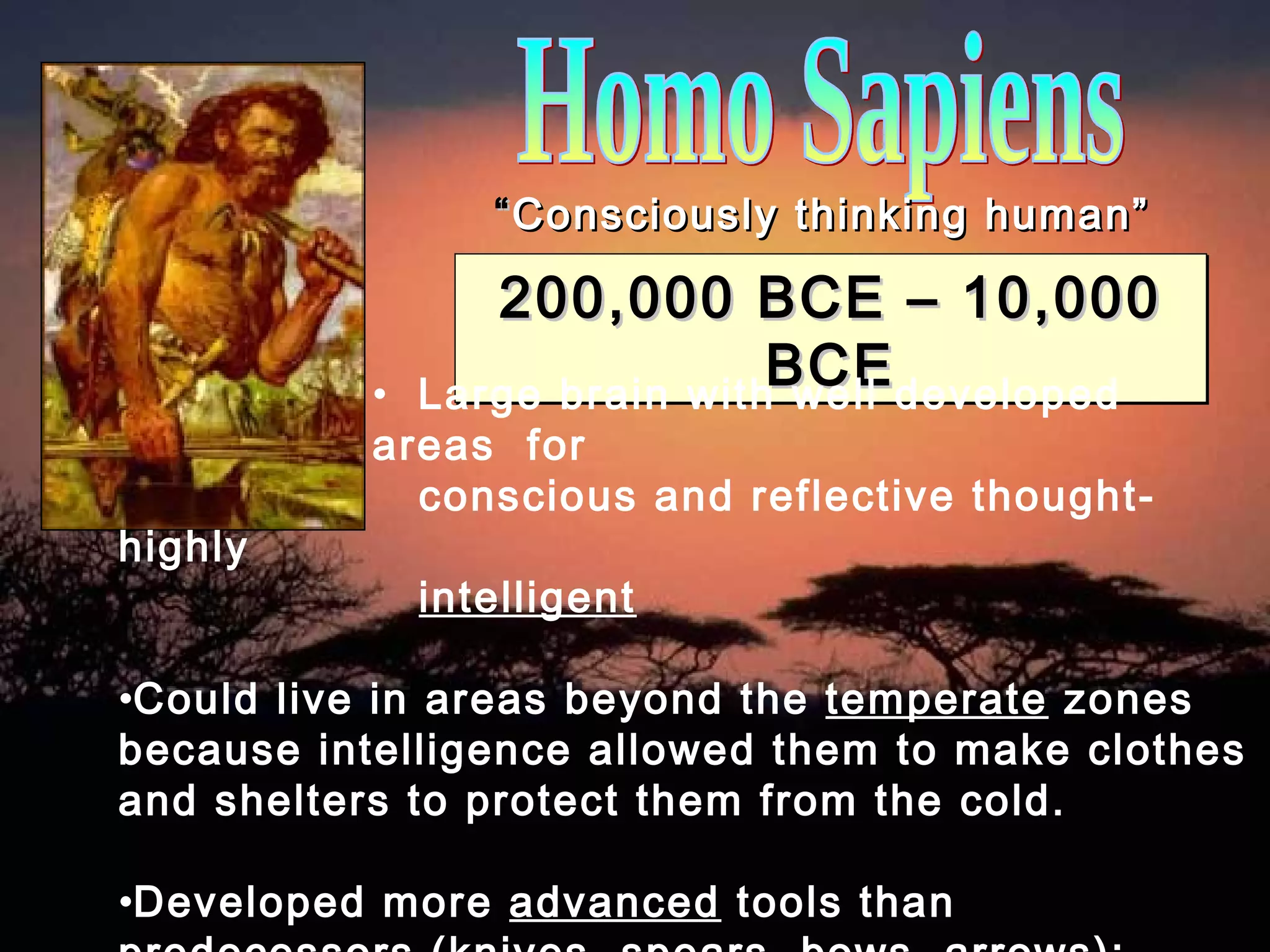 Homo Sapiens 200,000 BCE – 10,000 BCE “ Consciously thinking human” Large brain with well developed areas  for    conscious and reflective thought-highly      intelligent Could live in areas beyond the  temperate  zones because intelligence allowed them to make clothes and shelters to protect them from the cold. Developed more  advanced  tools than predecessors (knives, spears, bows, arrows); made shelters of wood, bones, and animal skins 