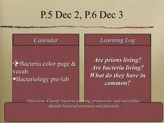 P.5 Dec 2, P.6 Dec 3 Bacteria color page & vocab. Bacteriology pre-lab Are prions living? Are bacteria living? What do they have in common? Calendar Learning Log Objectives: Classify bacteria as living, prokaryotic, and unicellular. Identify bacterial structures and functions. 