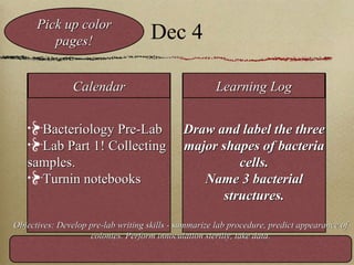 Dec 4 Bacteriology Pre-Lab  Lab Part 1! Collecting samples. Turnin notebooks Draw and label the three major shapes of bacteria cells. Name 3 bacterial structures. Calendar Learning Log Objectives: Develop pre-lab writing skills - summarize lab procedure, predict appearance of colonies. Perform innoculation sterilly, take data. Pick up color pages! 