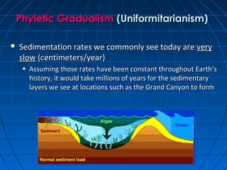 Origins of life 1 patterns | PPT