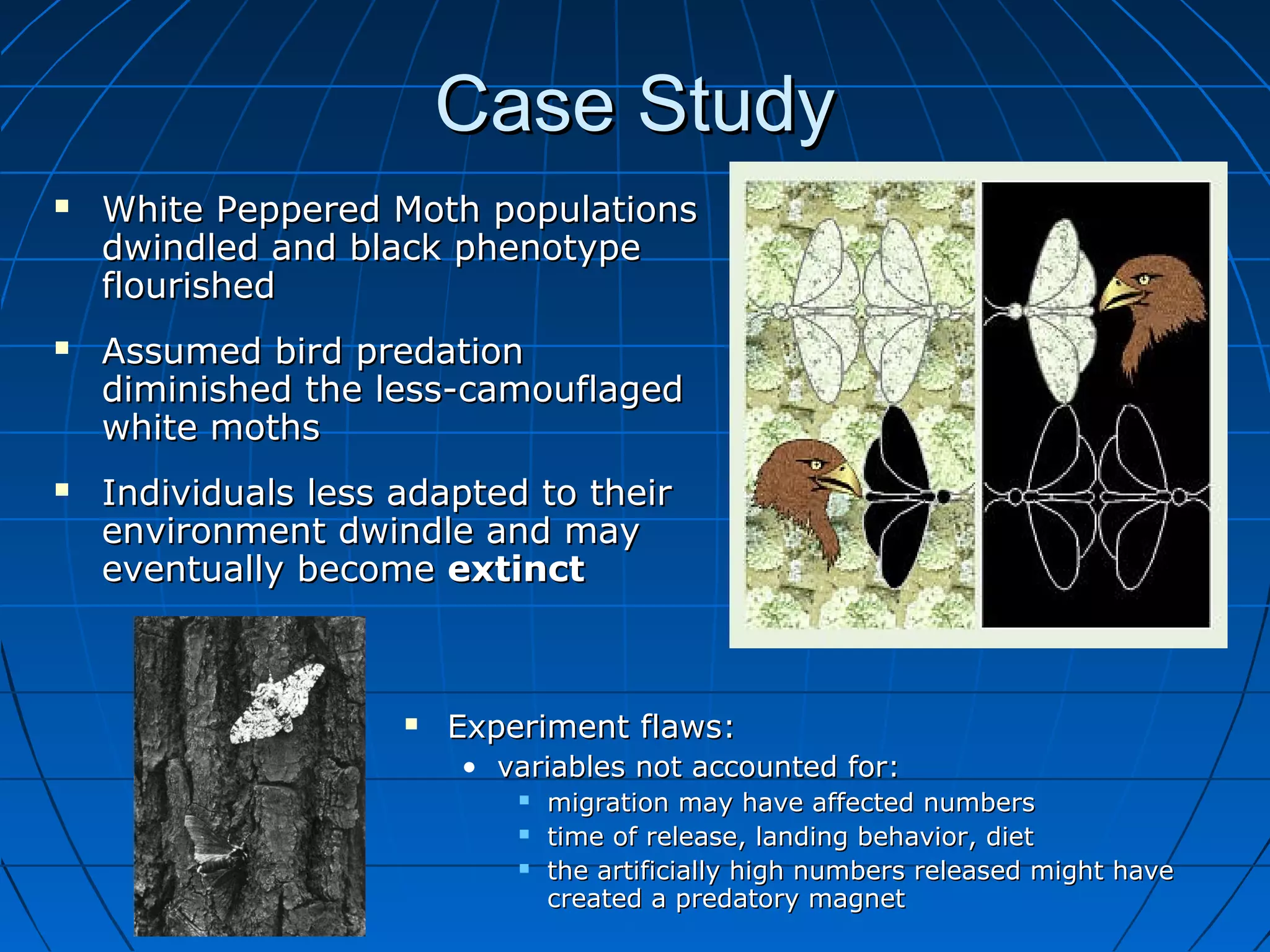 Case Study
   White Peppered Moth populations
    dwindled and black phenotype
    flourished
   Assumed bird predation
    diminished the less-camouflaged
    white moths
   Individuals less adapted to their
    environment dwindle and may
    eventually become extinct



                        Experiment flaws:
                         • variables not accounted for:
                                migration may have affected numbers
                                time of release, landing behavior, diet
                                the artificially high numbers released might have
                                 created a predatory magnet
 