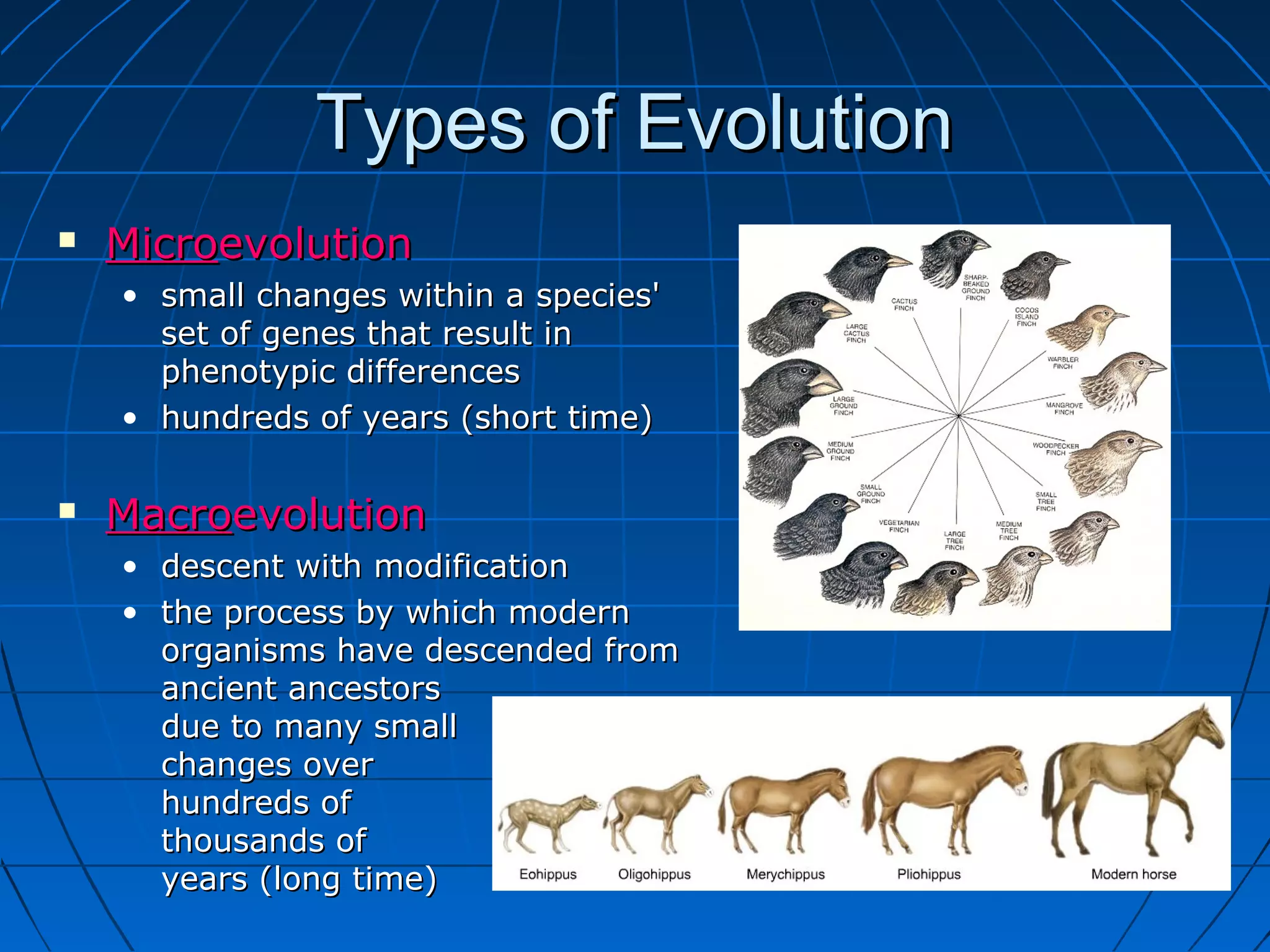 Types of Evolution
   Microevolution
    • small changes within a species'
      set of genes that result in
      phenotypic differences
    • hundreds of years (short time)

   Macroevolution
    • descent with modification
    • the process by which modern
      organisms have descended from
      ancient ancestors
      due to many small
      changes over
      hundreds of
      thousands of
      years (long time)
 