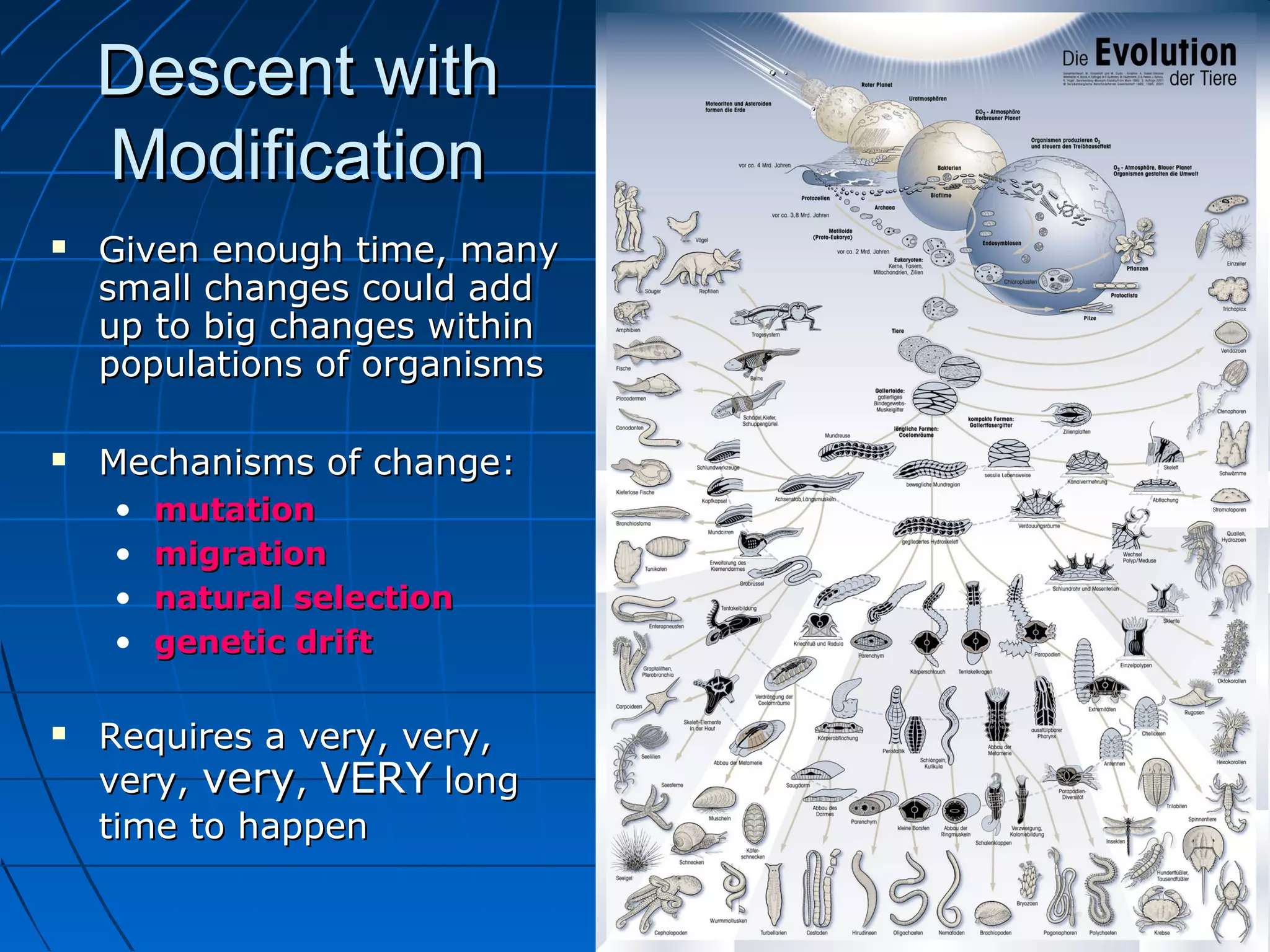 Descent with
    Modification
   Given enough time, many
    small changes could add
    up to big changes within
    populations of organisms

   Mechanisms of change:
    •   mutation
    •   migration
    •   natural selection
    •   genetic drift

   Requires a very, very,
    very, very, VERY long
    time to happen
 