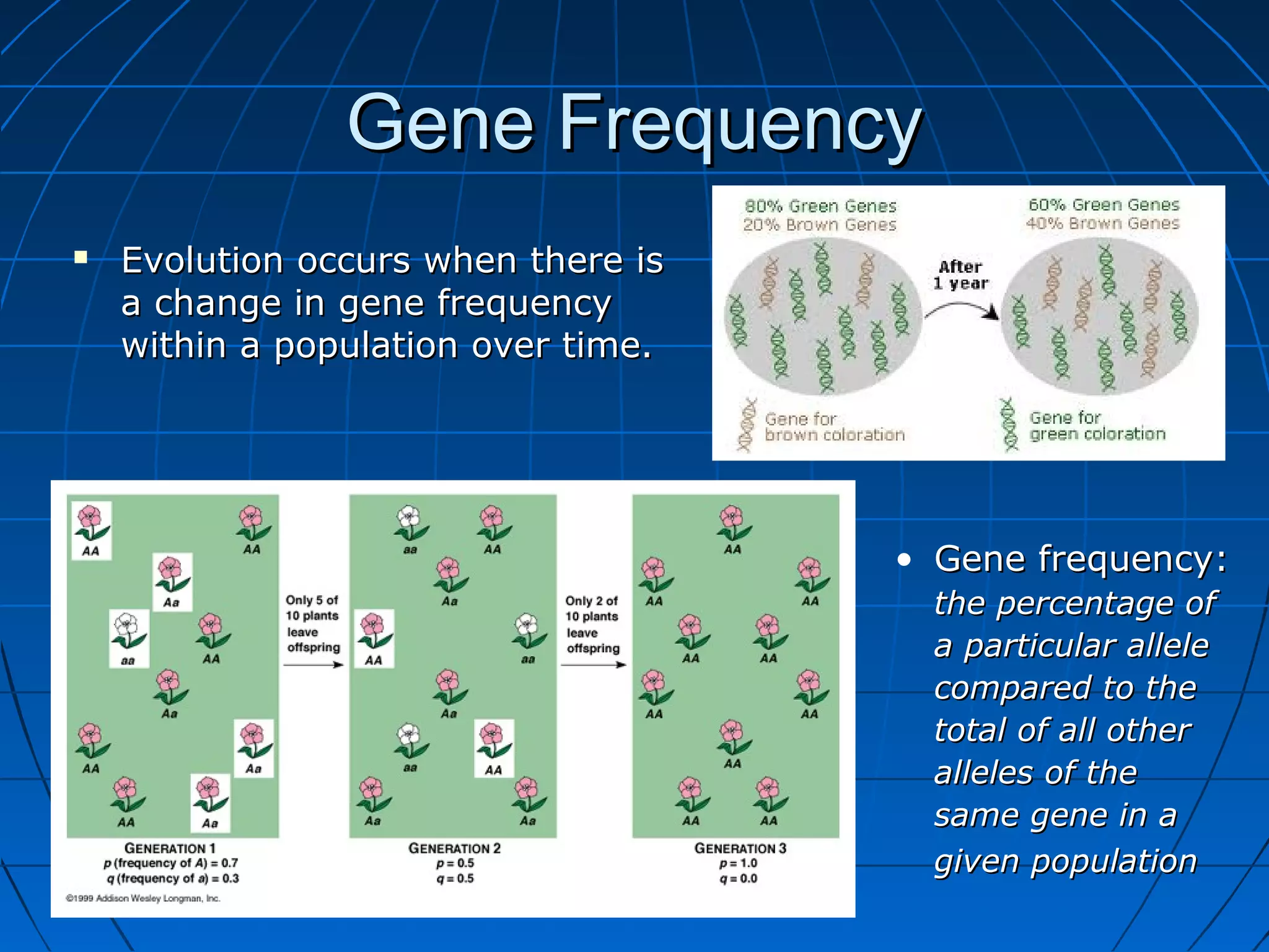 Gene Frequency
   Evolution occurs when there is
    a change in gene frequency
    within a population over time.




                                     • Gene frequency:
                                      the percentage of
                                      a particular allele
                                      compared to the
                                      total of all other
                                      alleles of the
                                      same gene in a
                                      given population
 
