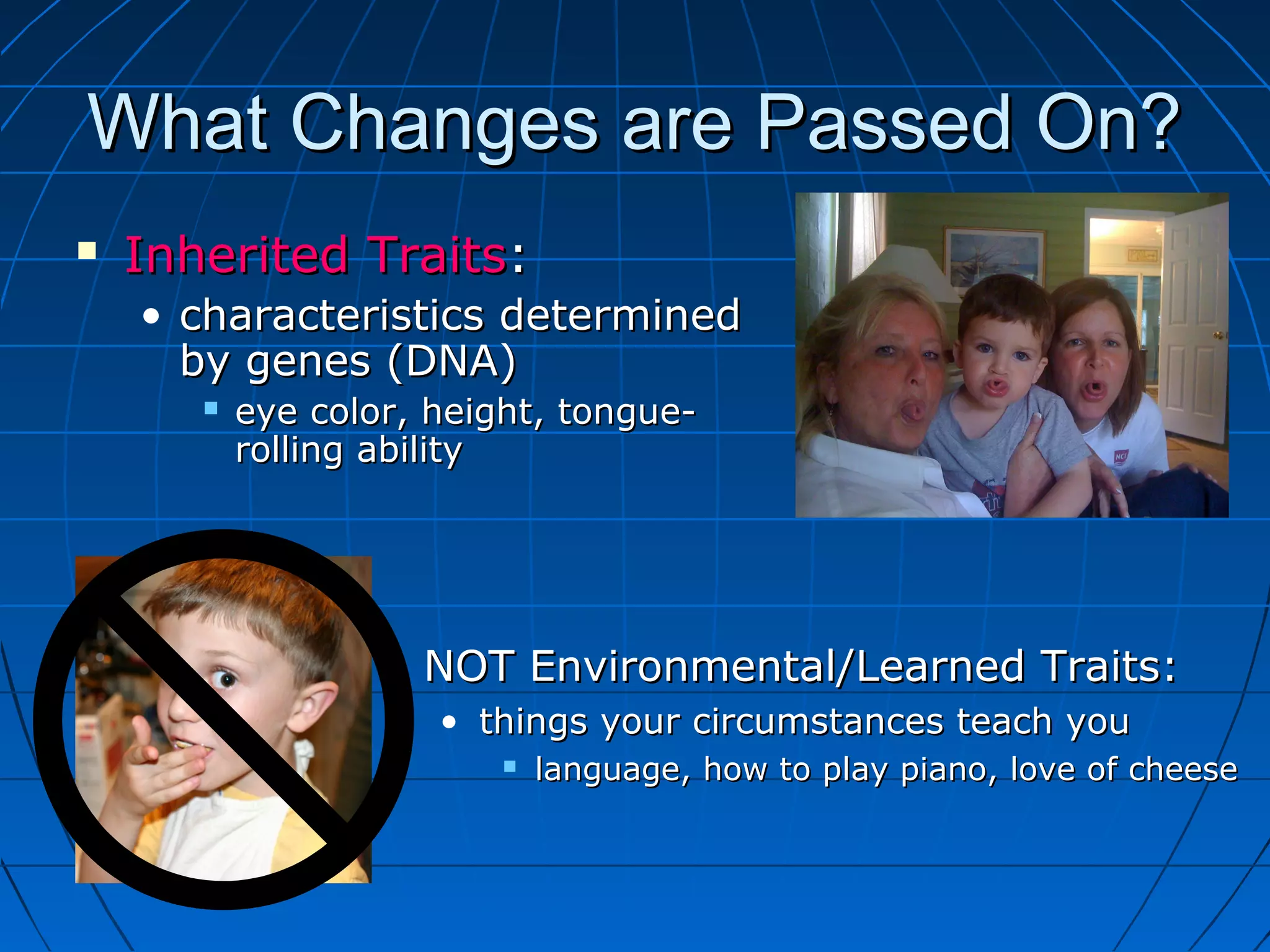 What Changes are Passed On?
   Inherited Traits:
    • characteristics determined
      by genes (DNA)
          eye color, height, tongue-
           rolling ability




                     NOT Environmental/Learned Traits:
                      • things your circumstances teach you
                             language, how to play piano, love of cheese
 