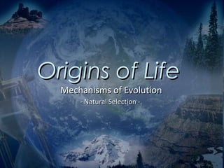 Origins of Life
  Mechanisms of Evolution
      - Natural Selection -
 