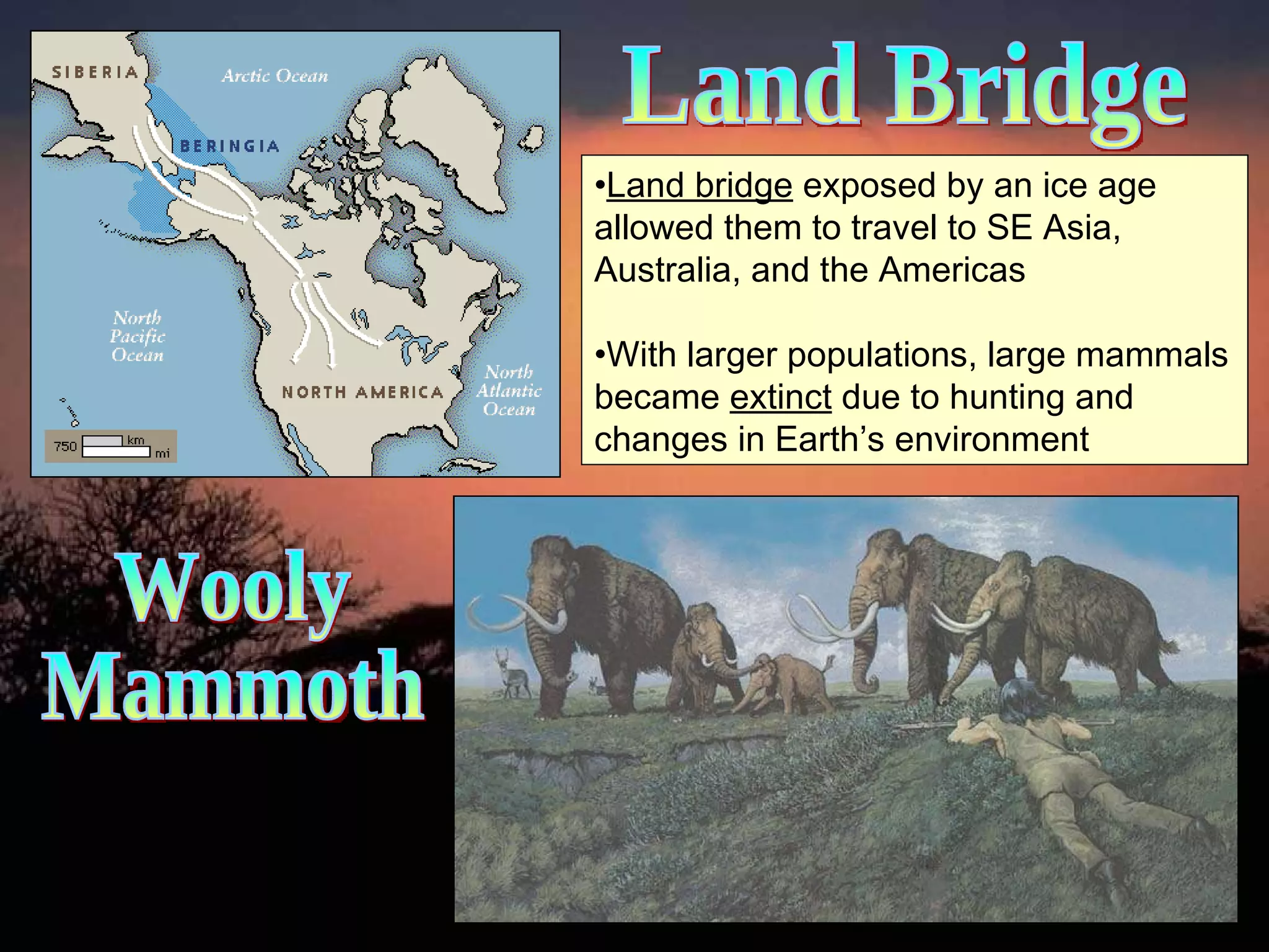 Land bridge  exposed by an ice age allowed them to travel to SE Asia, Australia, and the Americas With larger populations, large mammals became  extinct  due to hunting and changes in Earth’s environment  Land Bridge Wooly  Mammoth 