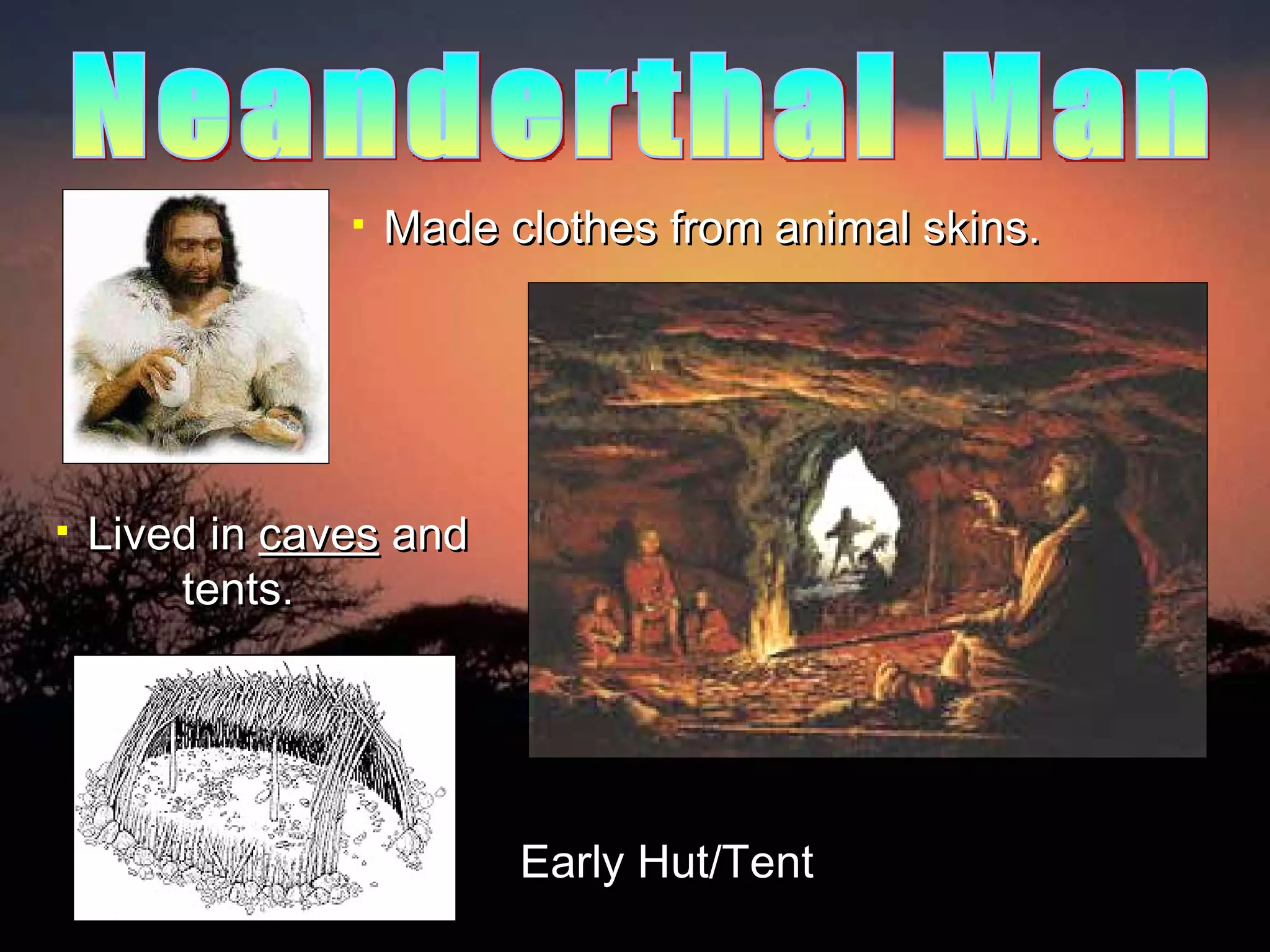 Made clothes from animal skins. Lived in  caves  and  tents. Neanderthal Man Early Hut/Tent 