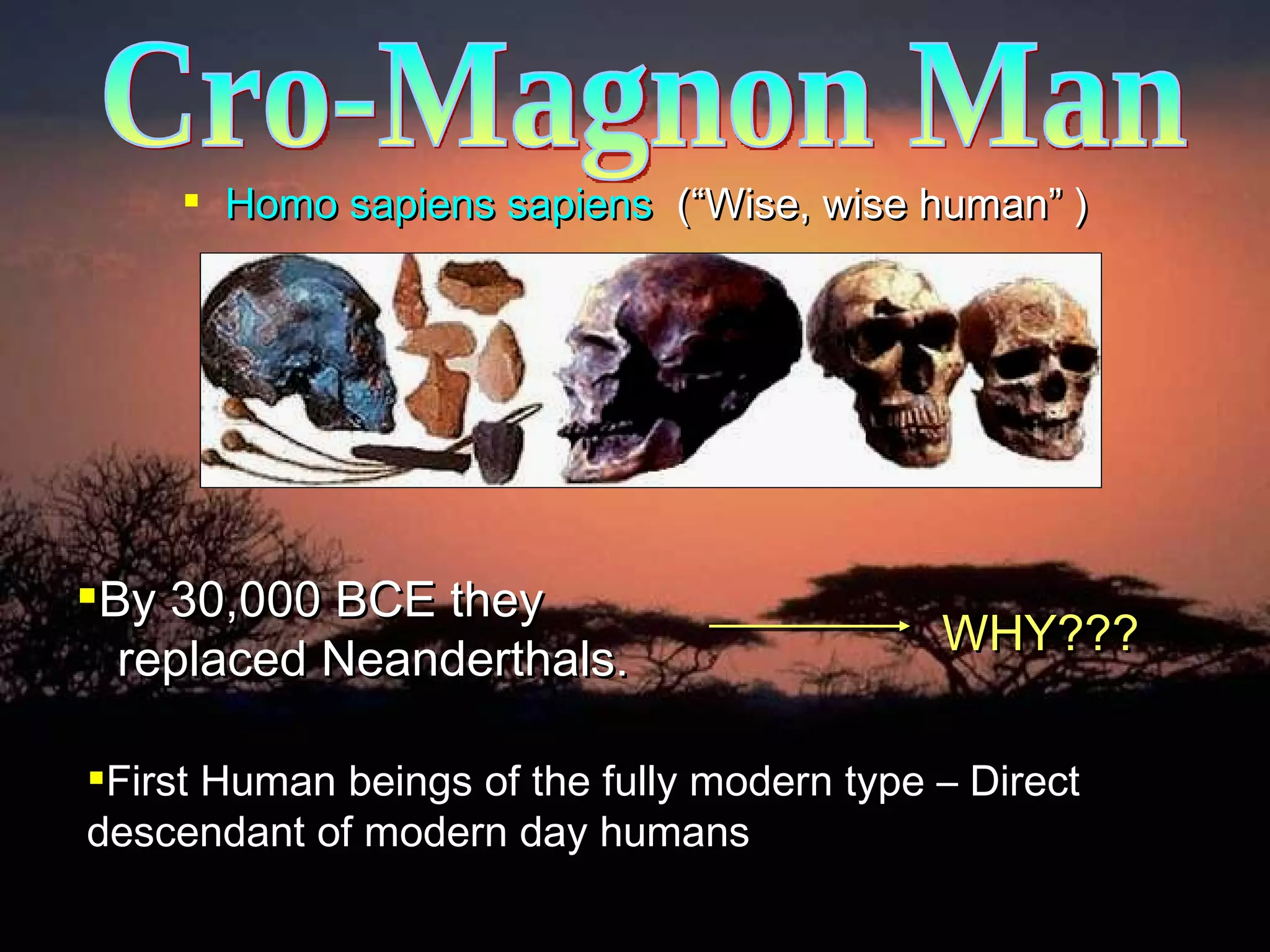 Cro-Magnon Man Homo sapiens sapiens  (“Wise, wise human” ) First Human beings of the fully modern type – Direct descendant of modern day humans By 30,000 BCE they   replaced Neanderthals. WHY??? 