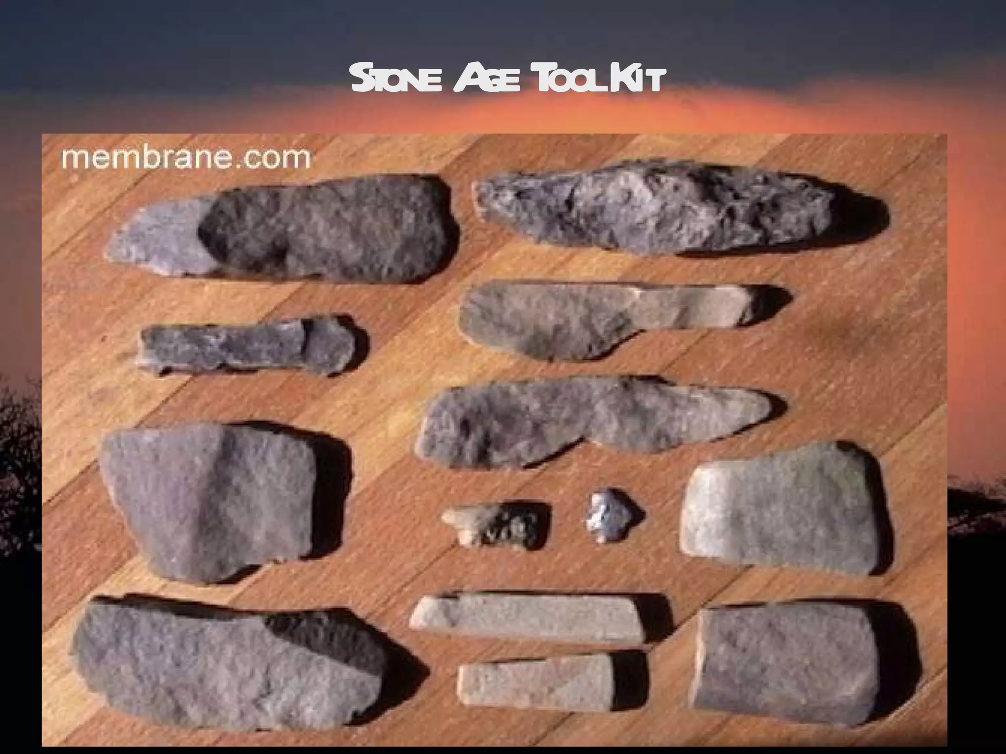 Stone Age Tool Kit 