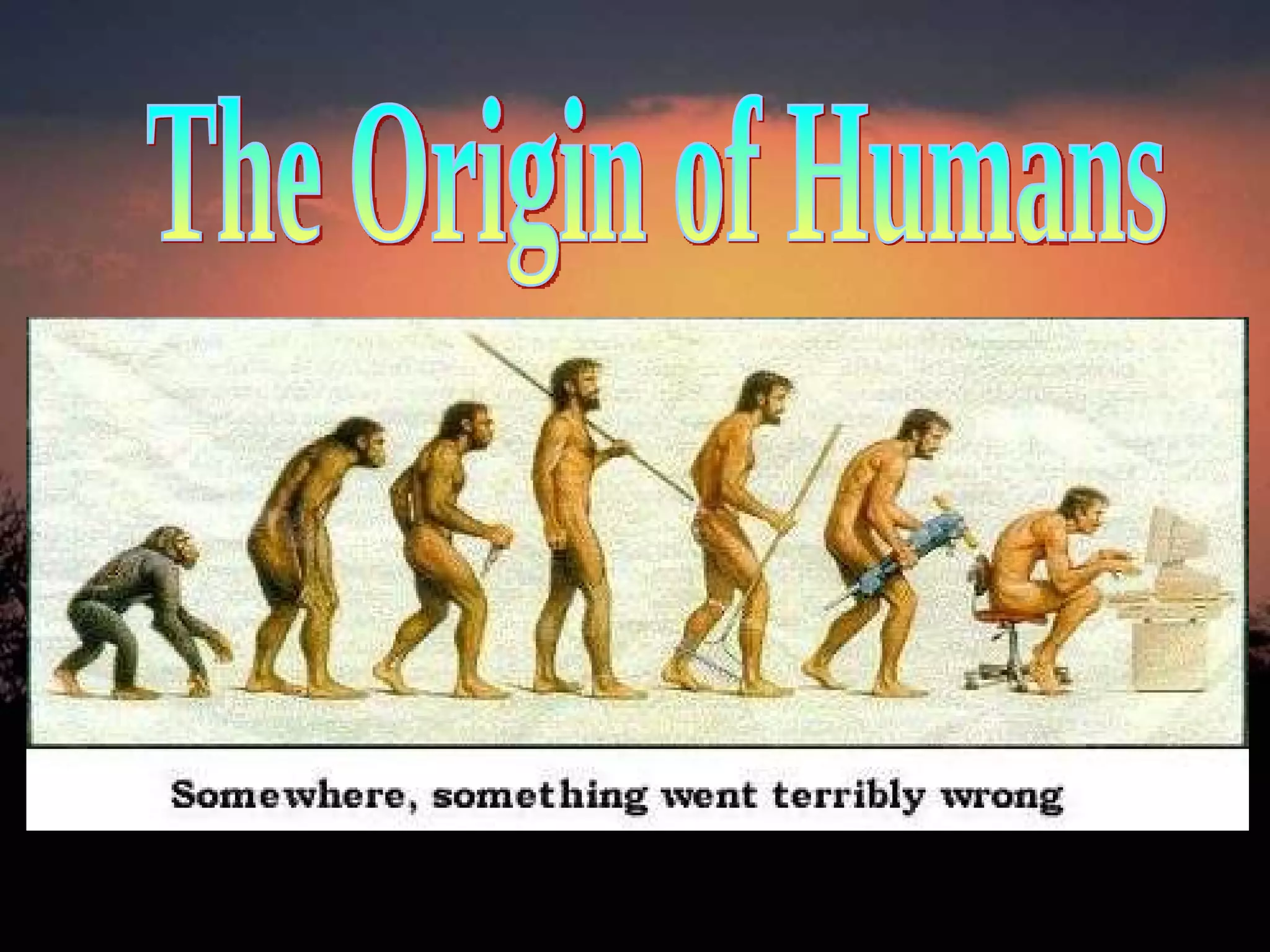 The Origin of Humans 