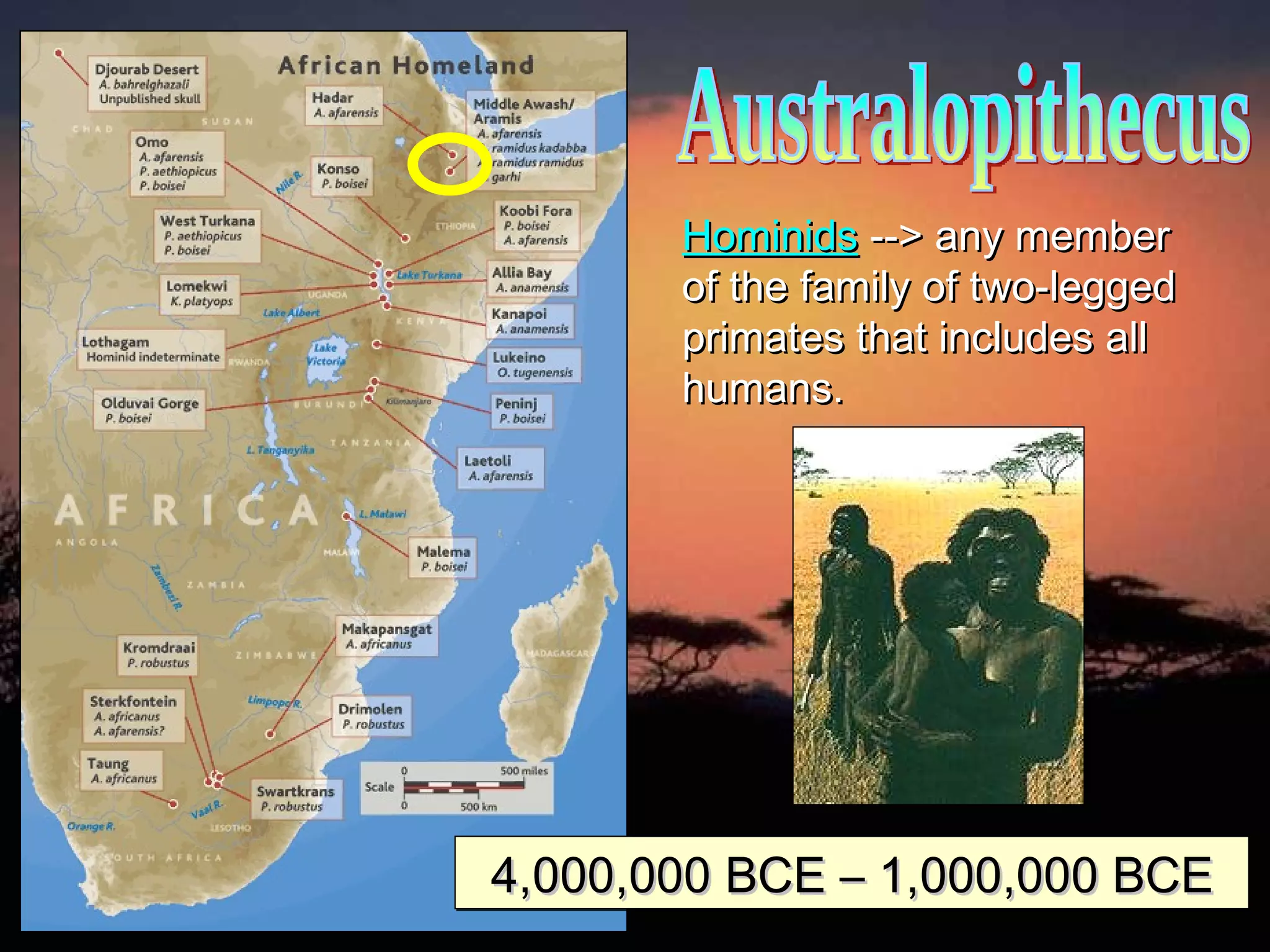 Australopithecus Hominids   --> any member   of the family of two-legged   primates that includes all   humans. 4,000,000 BCE – 1,000,000 BCE 