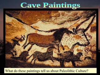 What do these paintings tell us about Paleolithic Culture? Cave Paintings 