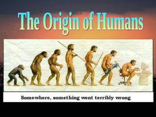 The Origin of Humans 