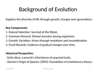 12/02/2024 Avik Dey Samya 5
Background of Evolution
Explains the diversity of life through genetic changes over generations.
Key Components:
1. Natural Selection: Survival of the fittest.
2. Common Descent: Shared ancestry among organisms.
3. Genetic Variation: Arises through mutations and recombination.
4. Fossil Records: Evidence of gradual changes over time.
Historical Perspective:
- Early ideas: Lamarck’s inheritance of acquired traits.
- Darwin’s Origin of Species (1859): Foundation of evolutionary theory.
 