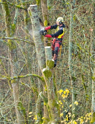 Poda, Ponikla, República Checa. Foto: Pavel Nesvadba
106
 