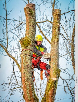 Poda, Poniklá, República Checa. Foto: Marta Mendrická 135
Accesorios
 