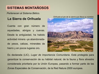 SISTEMAS MONTAÑOSOS
Orihuela al pie de la sierra que lleva su nombre
Es declarada (LIC), Lugar de Importancia Comunitaria. Está protegida para
garantizar la conservación de su hábitat natural, de la fauna y flora silvestre
considerada prioritaria por la Unión Europea, pasando a formar parte de las
Zonas Especiales de Conservación, de la Red Natura 2000 europea.
La Sierra de Orihuela
Cuenta con gran número de
oquedades, abrigos y cuevas.
Desde la antigüedad, ha habido
actividad minera -ya abandonada-
de yesos, calizas, minerales de
hierro y en pocos lugares oro.
Pertenecen al Sistema Bético.
 