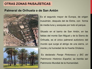 OTRAS ZONAS PAISAJÍSTICAS
Palmeral de Orihuela o de San Antón
Situado en el barrio de San Antón, en las
faldas del monte San Miguel y de la Sierra de
Orihuela, es el único palmeral autóctono del
mundo que surge al abrigo de una sierra, un
monte y la humedad de la Huerta Oriolana.
Es declarado Paraje Pintoresco y BIC del
Patrimonio Histórico Español, se tramita ser
Patrimonio Mundial de la Humanidad.
Es el segundo mayor de Europa, de origen
musulmán, después del de Elche, con forma
de media luna y acequias por todo el parque.
 