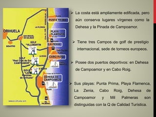  La costa está ampliamente edificada, pero
aún conserva lugares vírgenes como la
Dehesa y la Pinada de Campoamor.
 Tiene tres Campos de golf de prestigio
internacional, sede de torneos europeos.
 Posee dos puertos deportivos: en Dehesa
de Campoamor y en Cabo Roig.
 Sus playas: Punta Prima, Playa Flamenca,
La Zenia, Cabo Roig, Dehesa de
Campoamor y Mil Palmeras son
distinguidas con la Q de Calidad Turística.
 